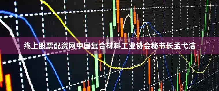 线上股票配资网中国复合材料工业协会秘书长孟弋洁