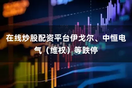 在线炒股配资平台伊戈尔、中恒电气（维权）等跌停