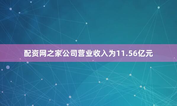 配资网之家公司营业收入为11.56亿元
