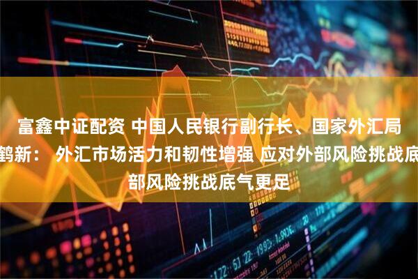 富鑫中证配资 中国人民银行副行长、国家外汇局局长朱鹤新： 外汇市场活力和韧性增强 应对外部风险挑战底气更足